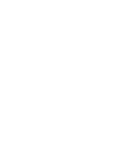 Swarm Digital